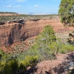 OTRA2013_2040 (July 21, 2013)